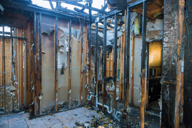 Professional Odor Removal technician working in St. John, IN